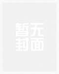 白线黄线紫线股票里代表什么意思